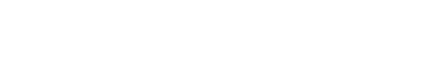 Austriackie Forum Kultury